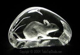 Glass mouse