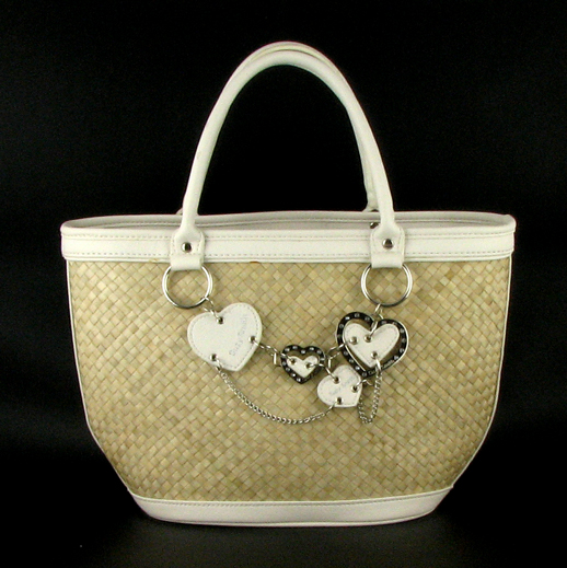 Handbag on Black Background