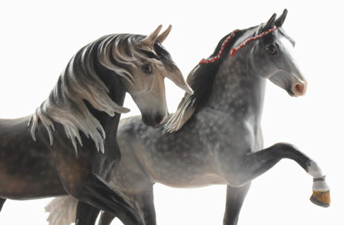 Photo of china Horses