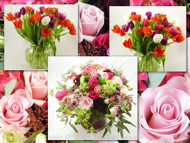 Images of Flowers
