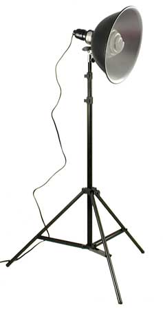 Large Light